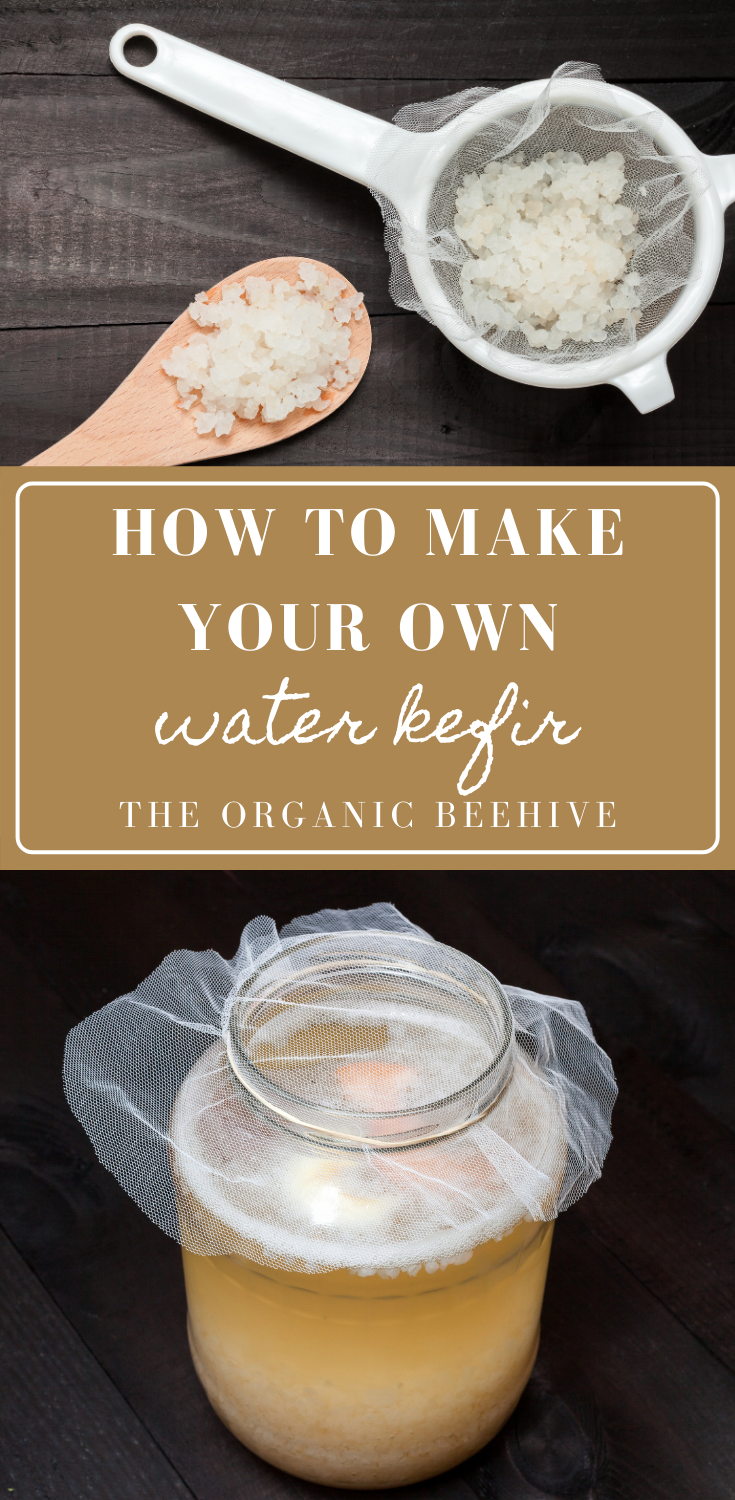 How To Make Your Own Water Kefir - The Organic Beehive