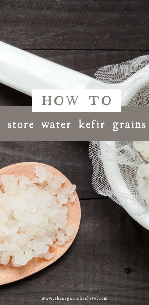 How To Store Water Kefir Grains When Not In Use The Organic Beehive