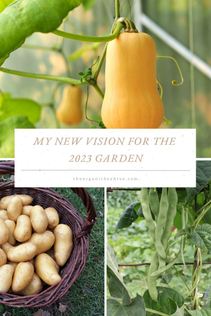 my new vision for the 2023 garden