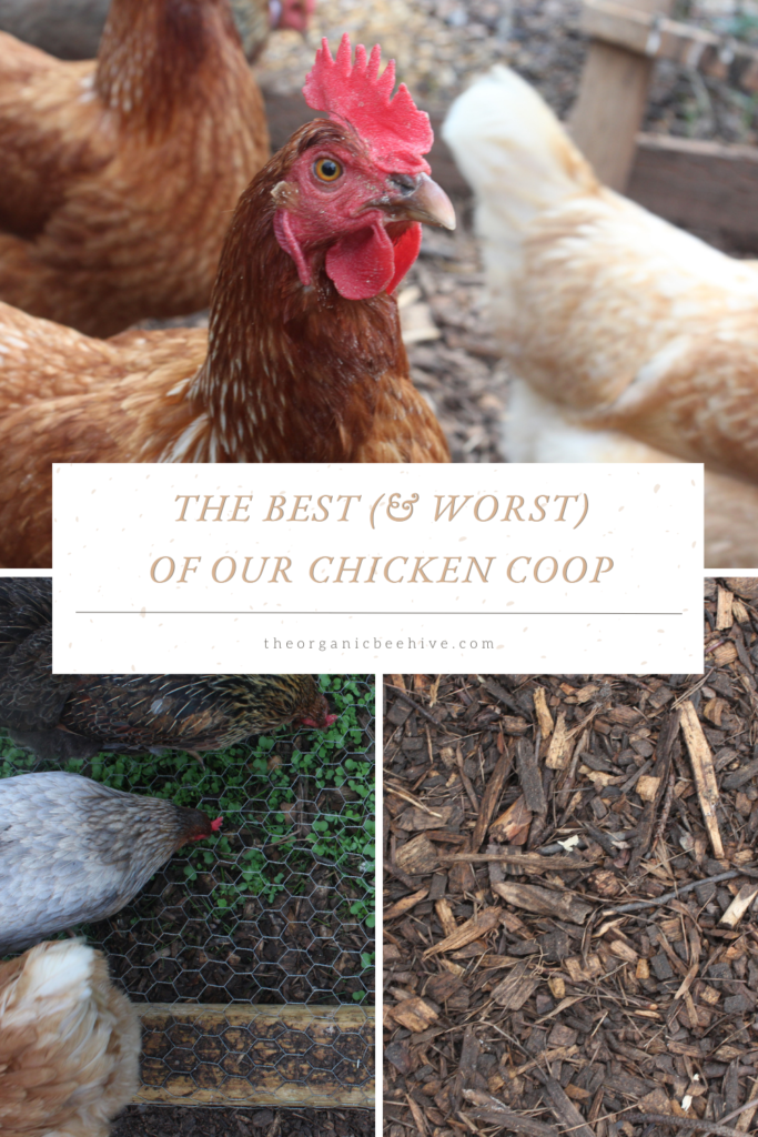 The Best (& Worst) of our Chicken Coop